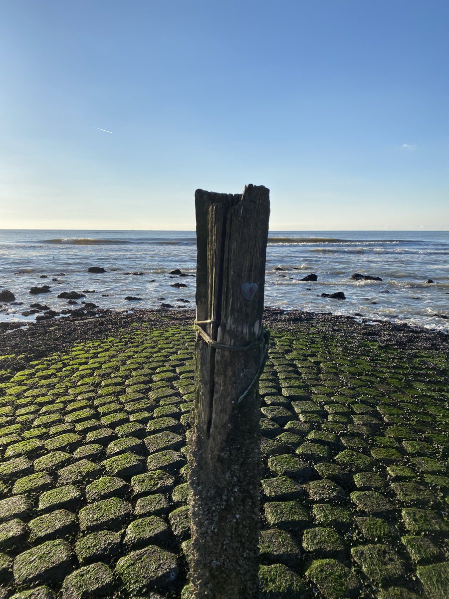 nynka delcour tweet media