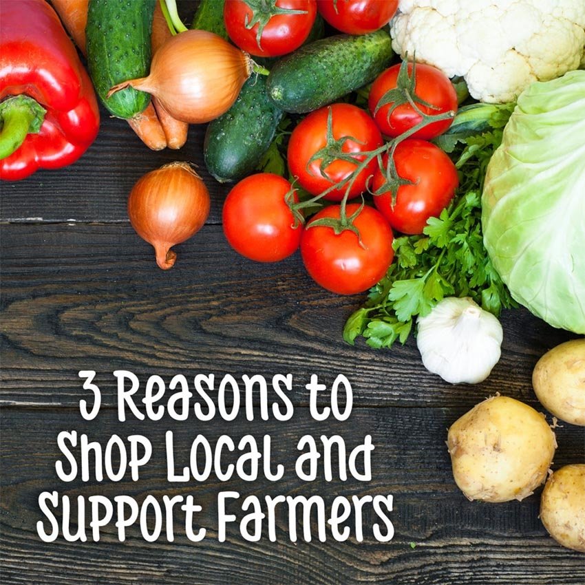 Support your local farmers support small businesses #Supportfarmers #fthewef #GreatReplacement #GreatReset #realleftwing #libertarianleft #freespeech #smallbusinesses #smallbusinessowner #stopWokeCulture #thefarmers