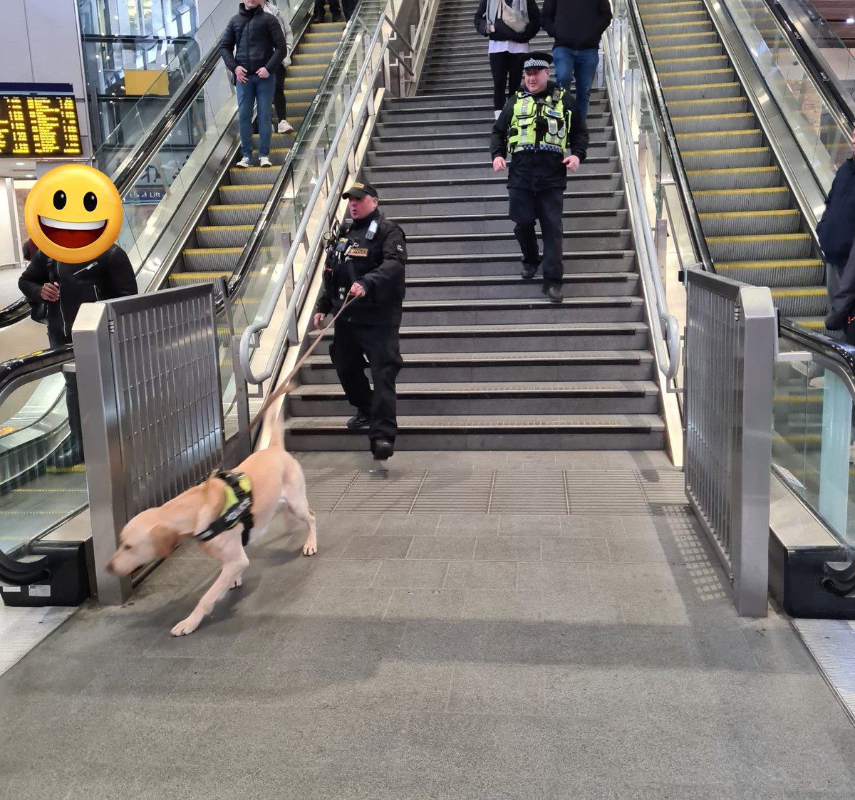 Today Police Dogs Polly & Mace from @BTPDogs & PD Elvis from @CityPoliceDogs joined us at @NetworkRailLBG Officers were looking to detect drug/weapon offences. They removed a knife from the street with help from @metpoliceuk @BTPOSU + arrested wanted persons and staff assaults.