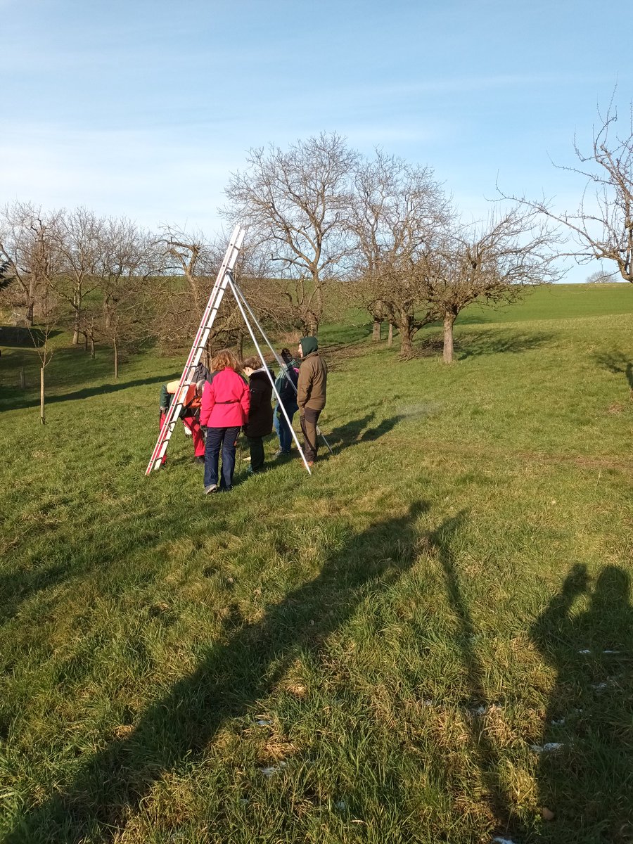 #obstbaumschnitt #odenwald #draussenunterricht