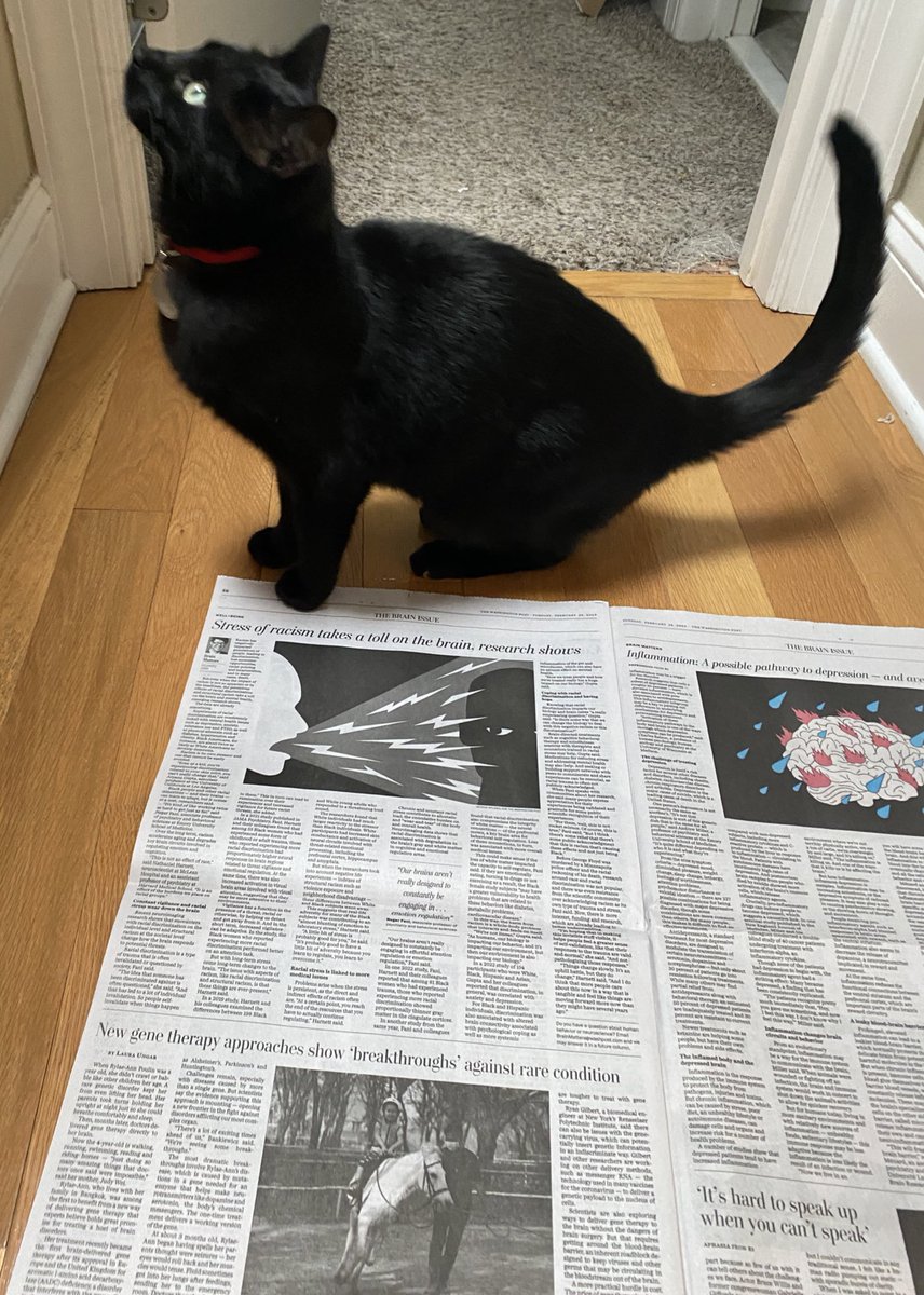 Richard Sima, Ph.D. richardsima.bsky.social tweet media