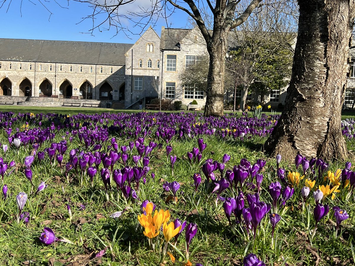 Abi Hall (@abijhall) on Twitter photo St Luke’s looking gorgeous this week <a href="/ExeterMed/">Exeter Med School</a> <a href="/ExeterMed/">Exeter Med School</a> <a href="/UoEAPEx/">APEx (also on Blue Sky)</a> St Luke’s looking gorgeous this week <a href="/ExeterMed/">Exeter Med School</a> <a href="/ExeterMed/">Exeter Med School</a> <a href="/UoEAPEx/">APEx (also on Blue Sky)</a>
