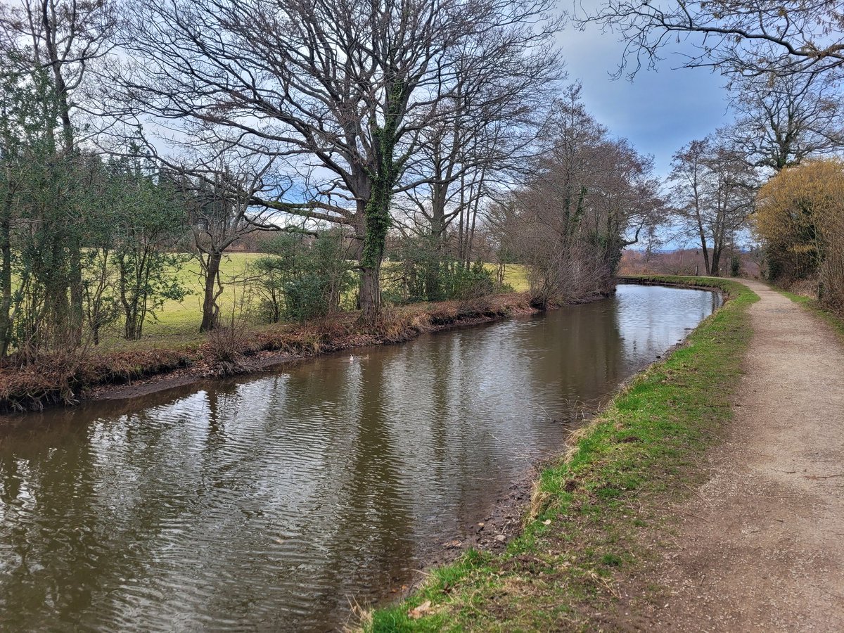 QueenofBloranj's tweet photo. Final day of #hd28for28: 45-minute run after work. It's been a blast. Kudos to @iamdanielpascoe for organising this once again.
๐ง @AlgiersMusic : Shook (thanks, @sarahclarkson18 - I ๐ it!)
@runningpunks
@HDA_tweeting
Please donate if you can: https://t.co/mblCFfobTu https://t.co/cHjm3GVFDw