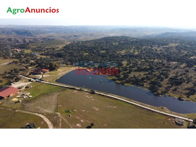 Agro_Anuncios's tweet image. Finca ganadera con casa - 1.400.000 €
#fincas #rusticas #agricultura
Para más información clica ⤵️
🌐 bit.ly/3LP3aTO
