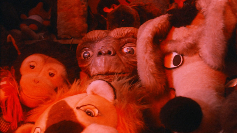 Neill McCallum tweet media