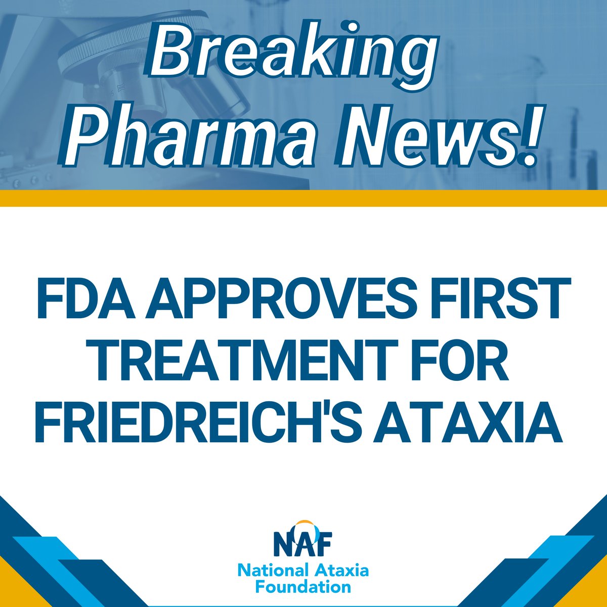 NAF_Ataxia's tweet photo. Today, the FDA announced approval for SKYCLARYS (omaveloxolone) in treating Friedreich's Ataxia. This is the first & only FDA-approved prescription medicine for Friedreich's Ataxia. (1/3)
#friedreichsataxia #ataxia #RareDiseaseDay #ataxiaawareness https://t.co/eIsr2nSc4R