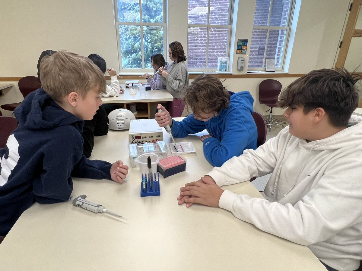 krukasmath's tweet photo. The 8th graders visited the DNA Learning Center in Cold Spring Harbor today.  They attended 3 workshops where they learned how DNA is used to solve mysteries and how to genetically modify (harmless) bacteria. 🧬🦠🧫@LomsPrincipal https://t.co/XCILMfa5bh