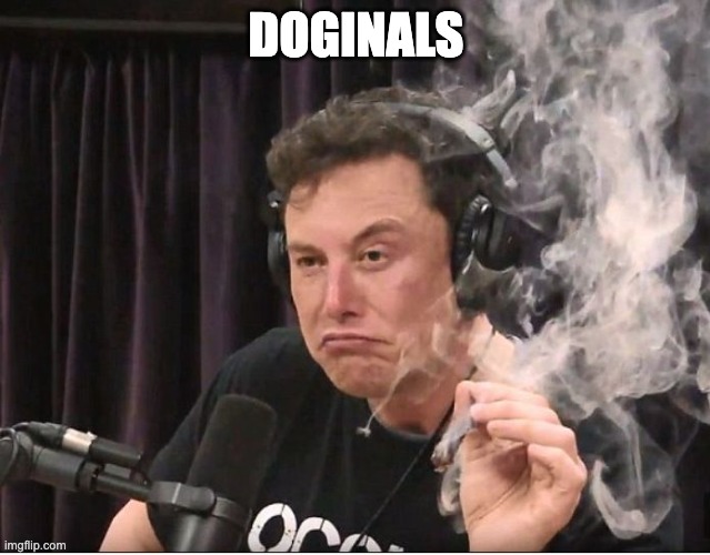 DoginalPunks's tweet photo. https://t.co/2VL5OeRlaD