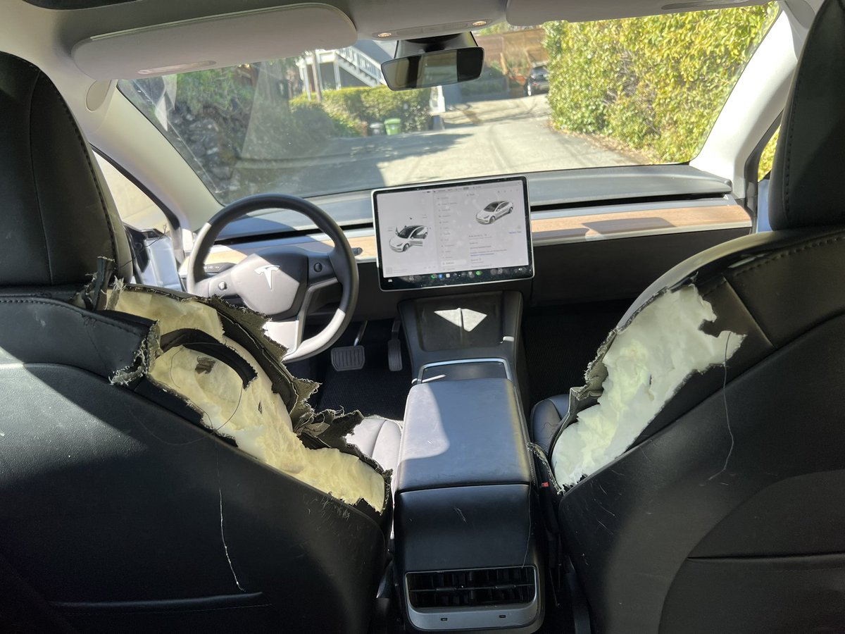 broccolirobb's tweet photo. @elonmusk my dog loves the taste of your vegan leather! 🤦🏻‍♂️ https://t.co/5d0HX3G5VC