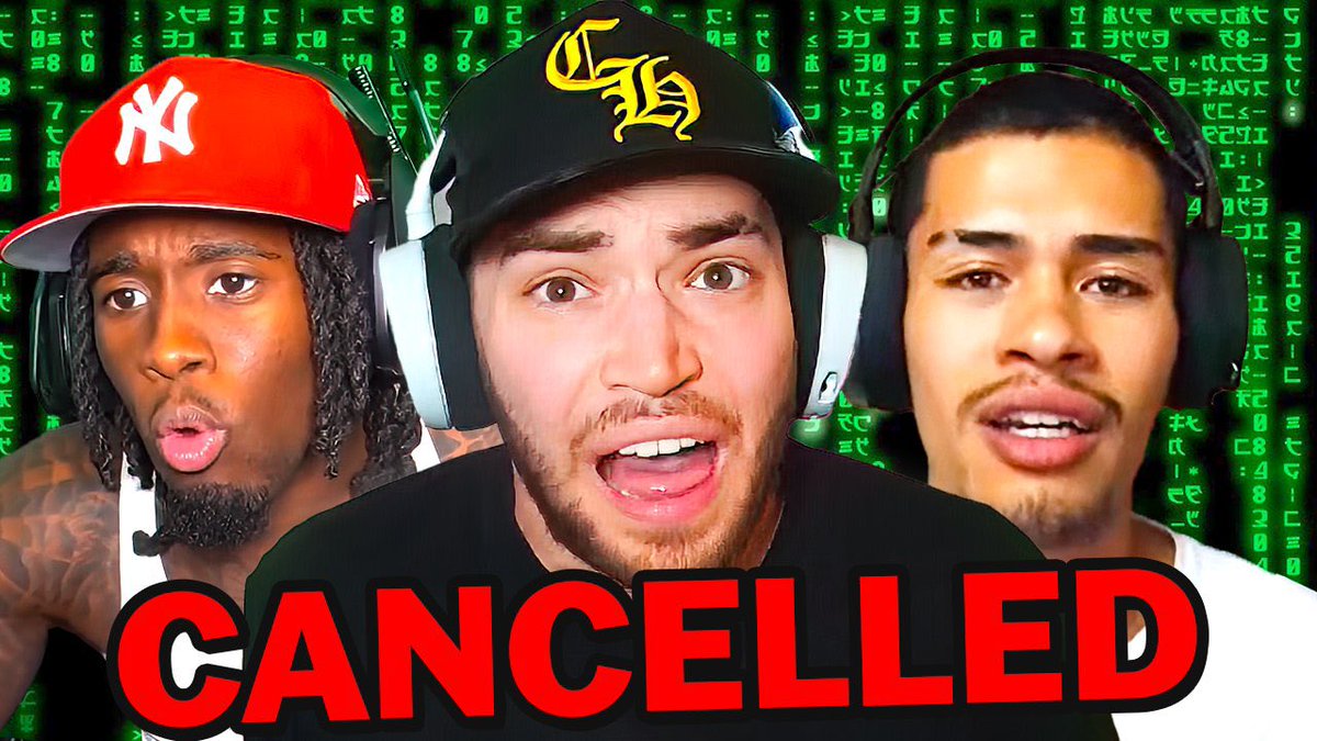 Playback tweet media