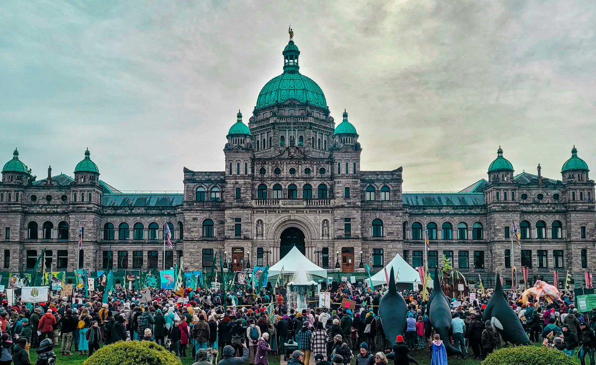 ClimateChar's tweet photo. Here's what is certain:
 
#Oldgrowth logging will come to an end soon. This will either be because we logged all of it and none remains, or because we've protected what's left. The end of old growth logging is coming. What's undecided is if we will save some before it's all gone. https://t.co/YJ1InVnI4R