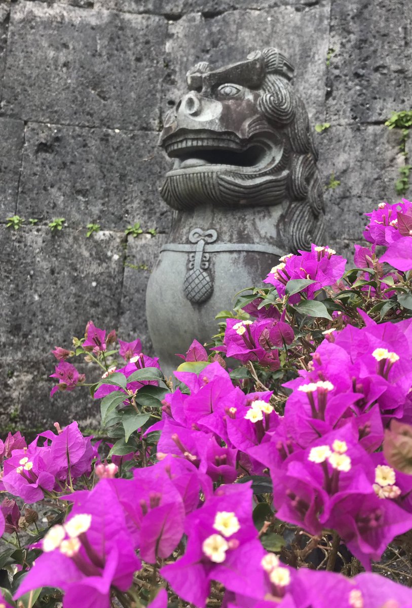 hisa_0924's tweet photo. おはようございます

月曜日に無事沖縄から帰宅し
昨日は疲れきった身体を起こし仕事へ

沖縄の研修楽しかった😊
月曜日は首里城へ行き
復興ボランティアで石を砕いてきました

今日は通院
キイトルーダさん頑張って👍💕
20日の頭部CTの結果も聞いてきます

Day179-182
 #沖縄 #首里城 #ぱやお https://t.co/FsD6OCPY9v