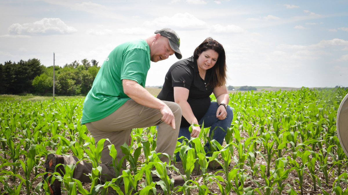 CentralValleyAg's tweet photo. CVA is now your local @SentinelFert trusted service provider! Developed through on-farm research, N-Time is a software platform that delivers real-time, imagery-based nutrient recommendations directly to users throughout the growing season.

Learn more: https://t.co/dmT2ZFTuFb https://t.co/4kY7YwoRDu