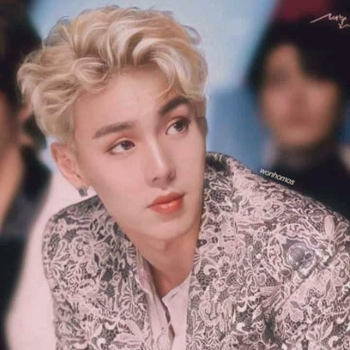 zetapuss's tweet photo. I FORGOT TO UPDATE THEM, So here is all my Monsta X birthday art’s for this rounds theme “Fairytales” 

Starting with Shownu, as always 😩

🐻 Blond Shownu and 3 Nunu’s⭐️
This haircut when WHEN- https://t.co/NUNIUHsDXQ