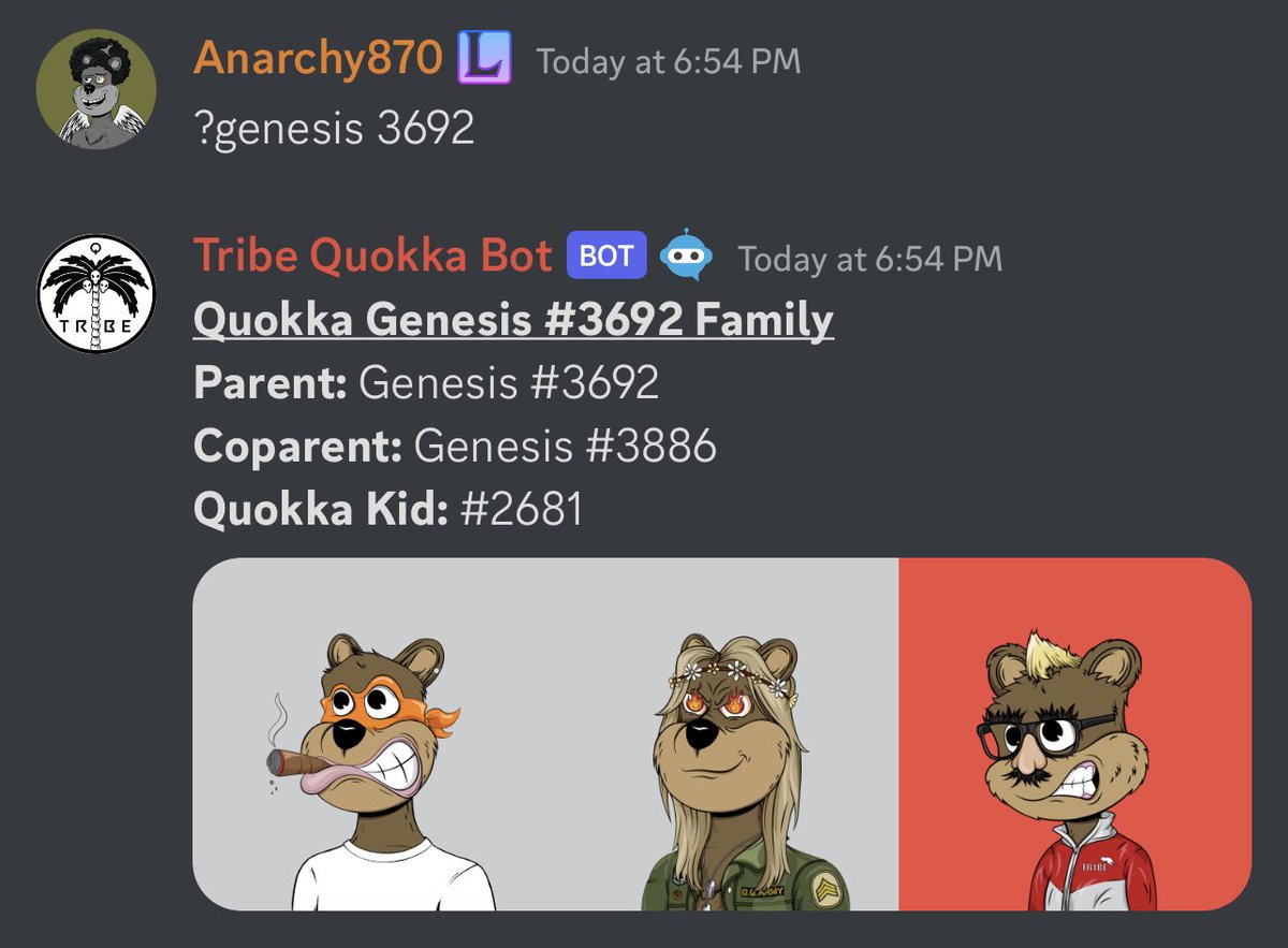 Anarchy_870's tweet photo. @TribeQuokka @Dick_Doofus @Haka_Labs https://t.co/Tdty9yQhie
