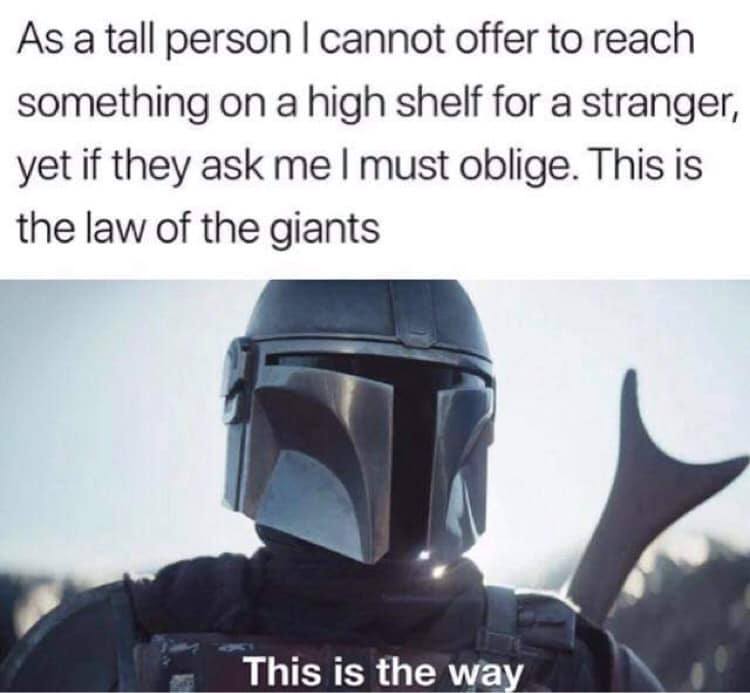 BrockTalk's tweet image. This is the way. #tall #tallpeopleproblems #servitude