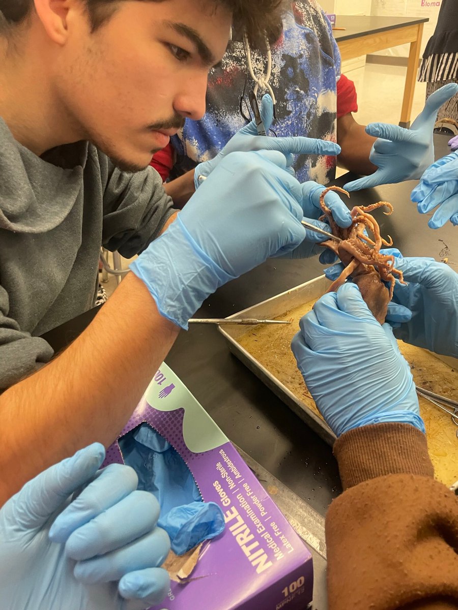 Covid kids have missed life changing Science experiences!  But not today!  Leto Marine Science Honors Students perform their 2nd dissection perfectly.
