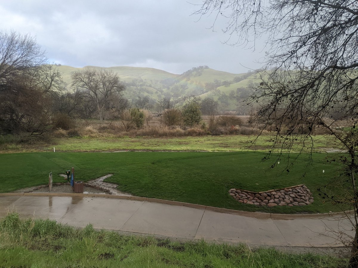 BrianneKenny tweet media