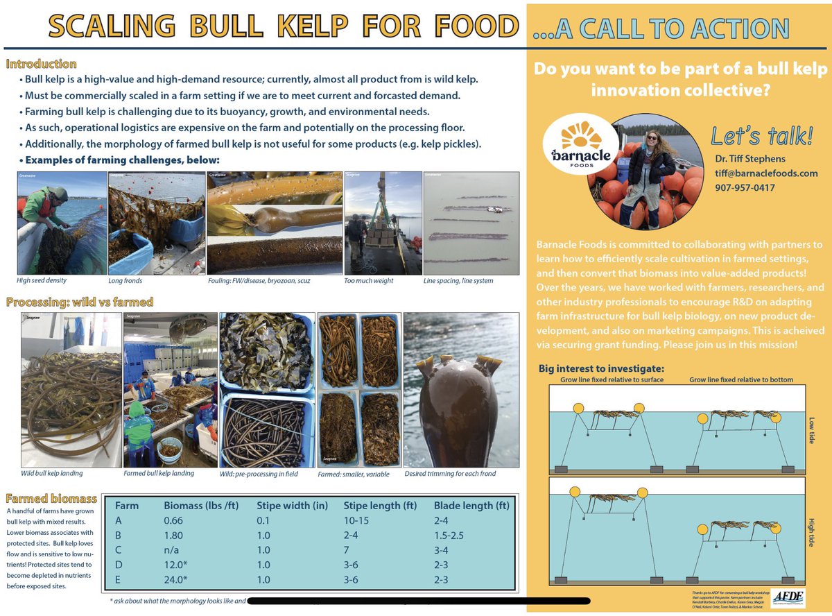 Dr. Tiff Stephens tweet media