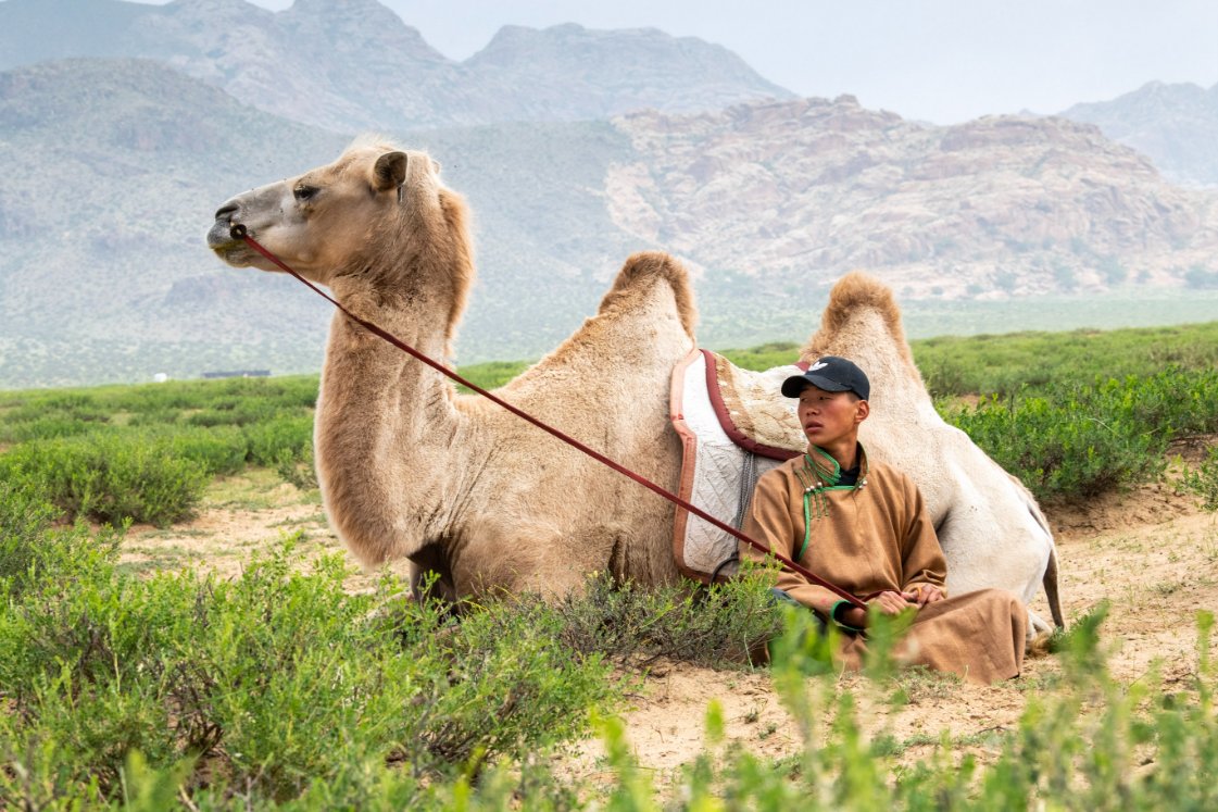 Less than four months to the 17th Edition of the Gobi March. Let the 20 year celebrations begin!  racingtheplanet.com/gobimarch
