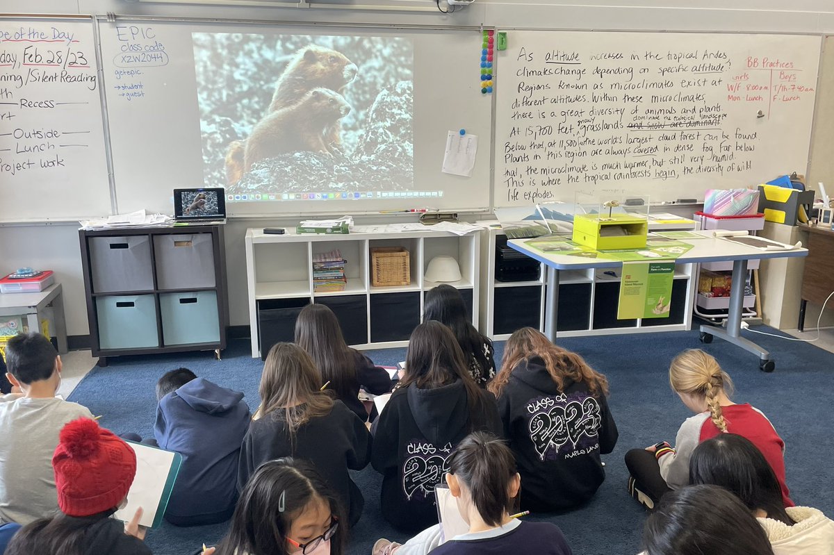 Sarah Beairsto (@sbeairsto) on Twitter photo Using a <a href="/RoyalBCMuseum/">Royal BC Museum</a> Species at Risk Mini Museum to look closely at the Vancouver Island Marmot for todayās art lesson. Lots of excitement and interesting questions. #sd38learn Using a <a href="/RoyalBCMuseum/">Royal BC Museum</a> Species at Risk Mini Museum to look closely at the Vancouver Island Marmot for todayās art lesson. Lots of excitement and interesting questions. #sd38learn