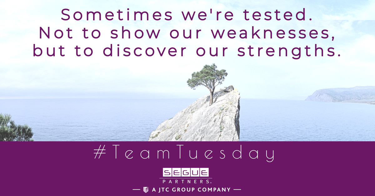 Segue Partners, a JTC Group Company tweet media