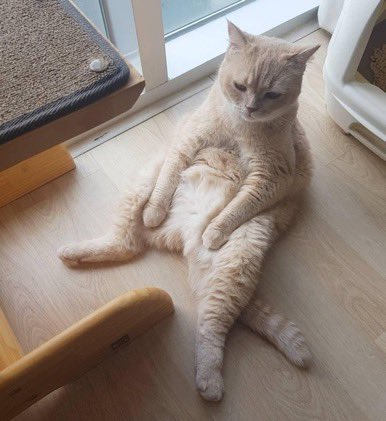 Acaba yurtta olsam ne yapıyodum? Okulda olsam ne olurdu? Düşünceleri perilerim gelmiş 🧚🏻‍♀️🧚🏻‍♀️🧚🏻‍♀️ #13martyuzyuze #Universiteicinmeclis