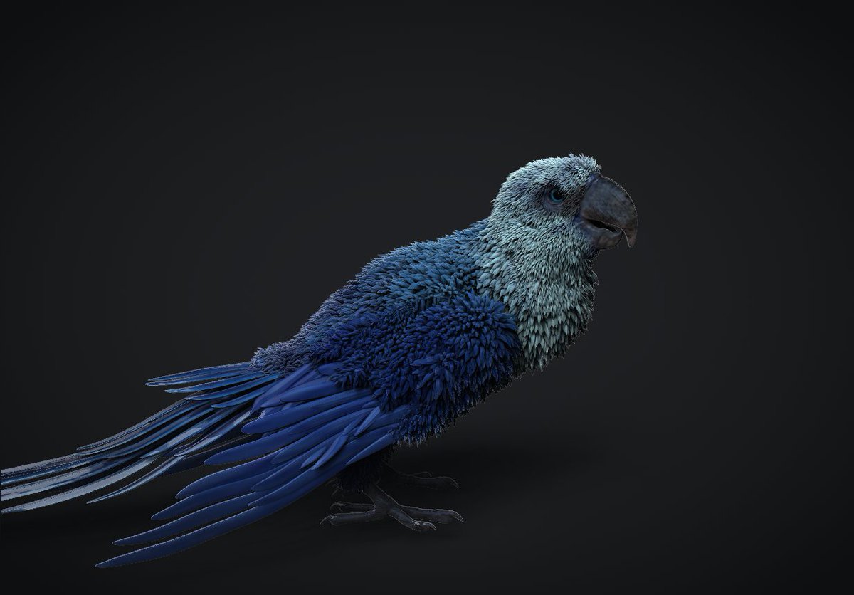 vankev's tweet image. Day 28 cyanopsitta

#FossilFebruary #FossilFebruary2023 #zbrush