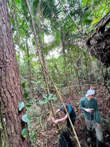 formanrainfrst's tweet photo. We made it! Here we are setting up camera traps–hoping for pictures of rare mammals, particularly wild cats! #rainforestproject #formanschool #cats #tropicaldeforestation #costarica https://t.co/ieQU2mSHDE