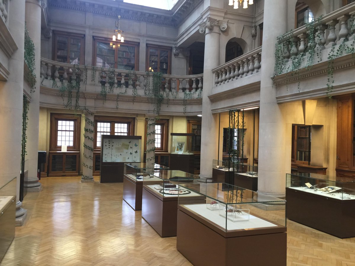 #DidYouKnow | The Hornby Library on the first floor of <a href="/Lpoolcentlib/">Liverpool Central Library and Archives</a> was designed by Thomas Shelmerdine who also designed both Toxteth + Sefton Park Libraries and St John's Gardens at the back of <a href="/SGHLpool/">St George's Hall</a> 📚 🌳 #Heritage #Libraries #Culture
