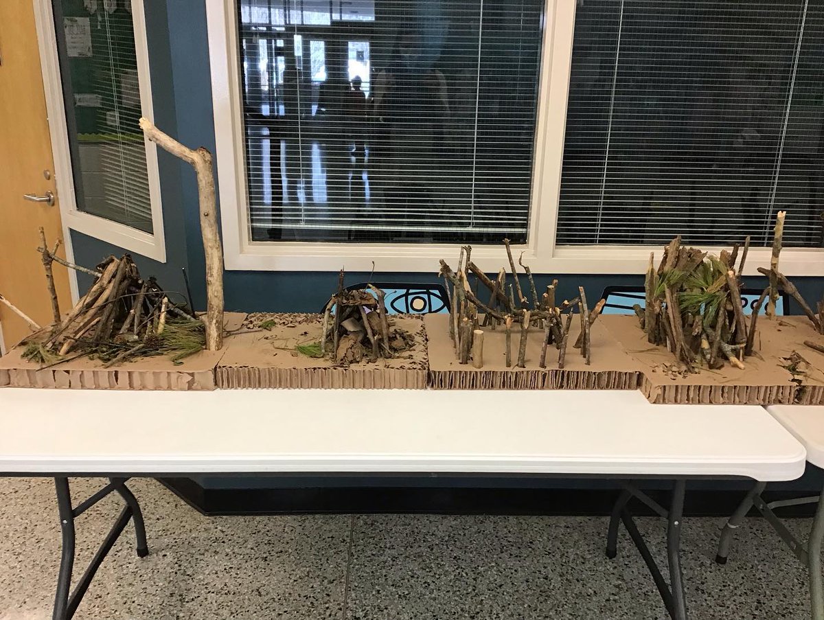 AVLCitySchools's tweet photo. 4th graders at Hall Fletcher Elementary built some model shelters after reading Gary Paulsen's book "Hatchet."
They could only use the items they found in nature - no glue, strings, tape, etc.
#theHFEdifference
#ACSCougarPride https://t.co/V2MhCTZ98f