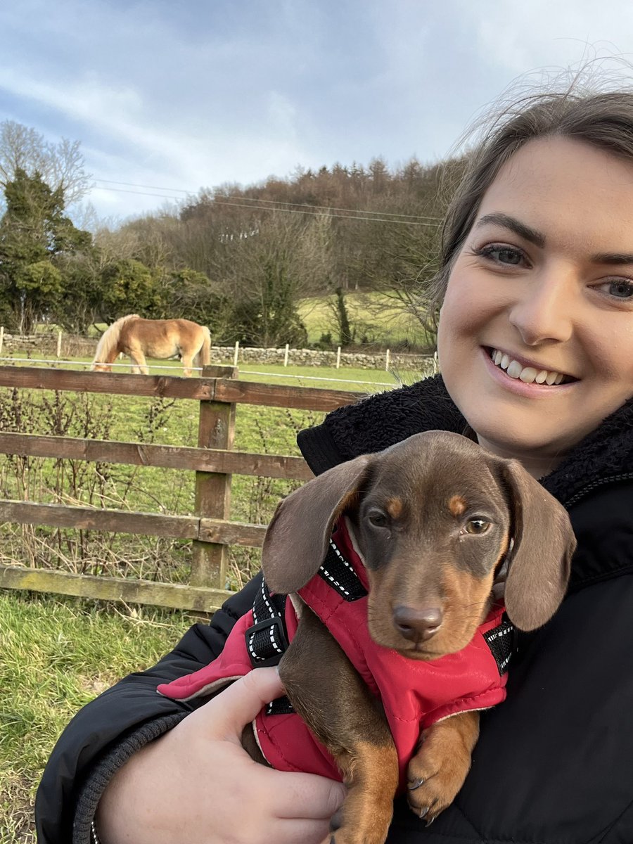 RachelNicoleUK's tweet photo. ICYMI - We bought a Puppy - Introducing Walter 🐶🐾 - https://t.co/Wgu6ZYsLKT #ukbloggers @UKBloggers1 #yorkshirebloggers #lifestyleblogger #blogginggals https://t.co/5Ui1OMQeBD