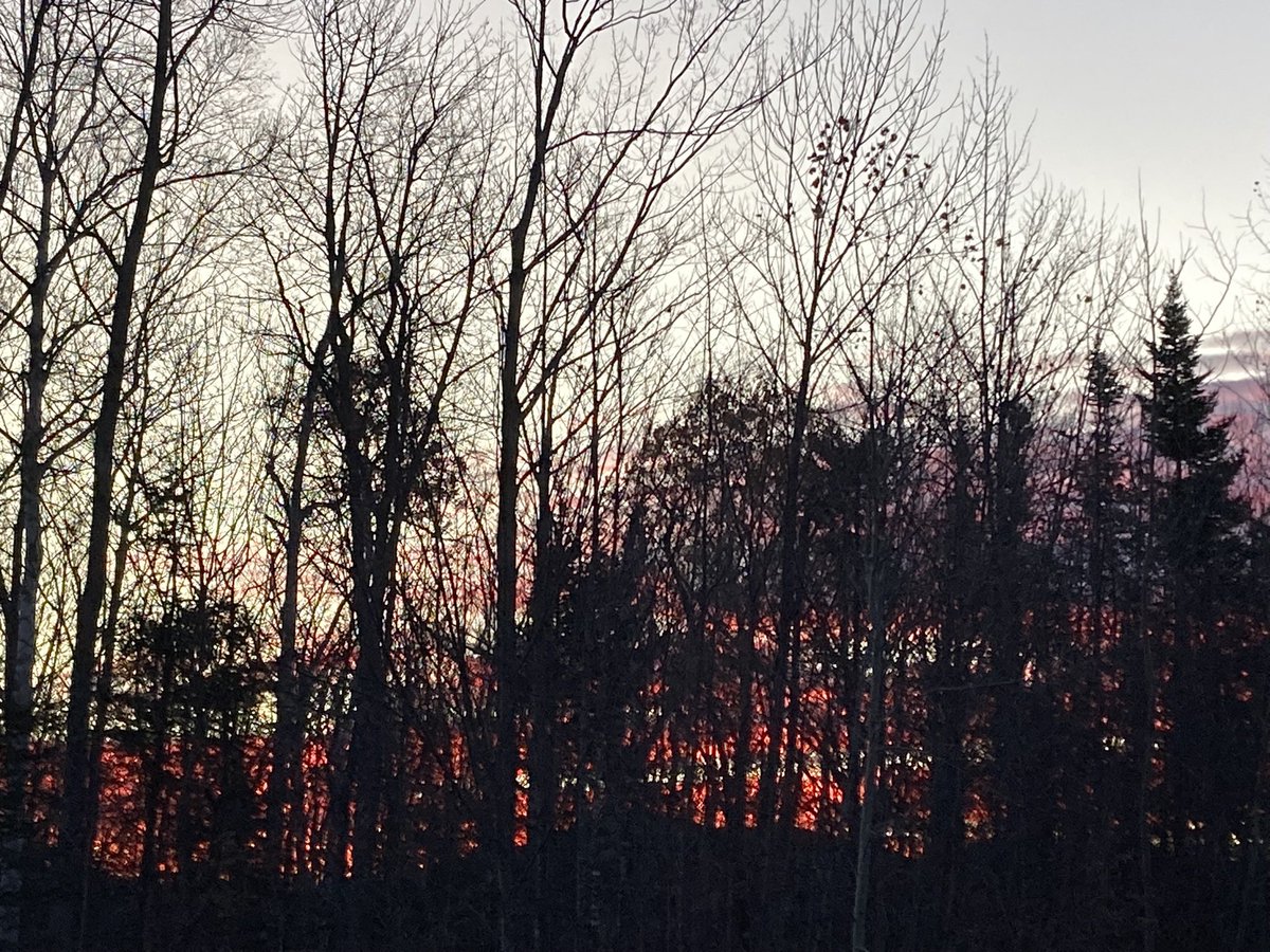 Jane O'Brien tweet media