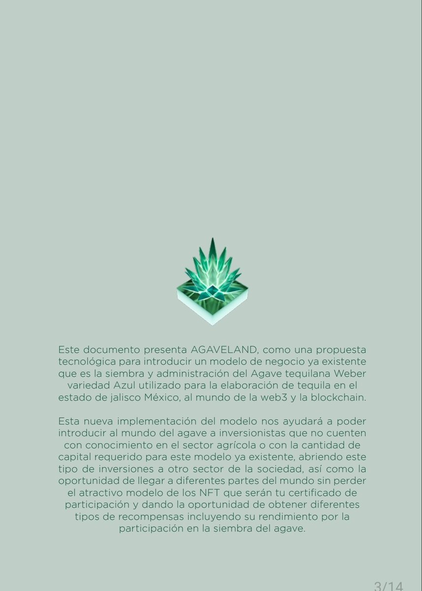 AGAVELAND tweet media