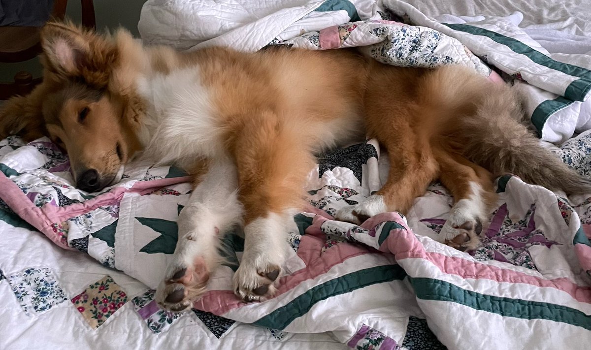 I’m sorry he’s perfect