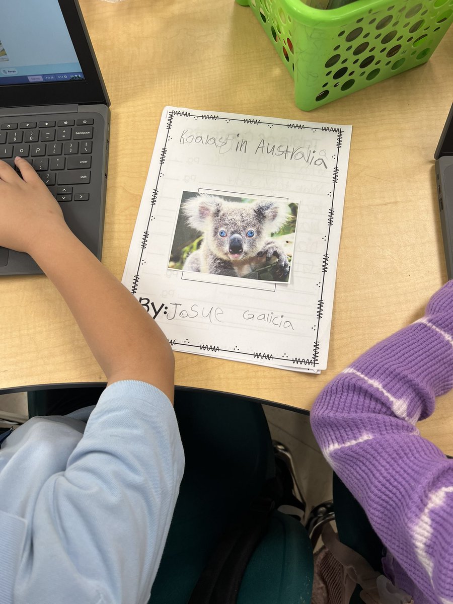 Sara Stelmacki tweet media