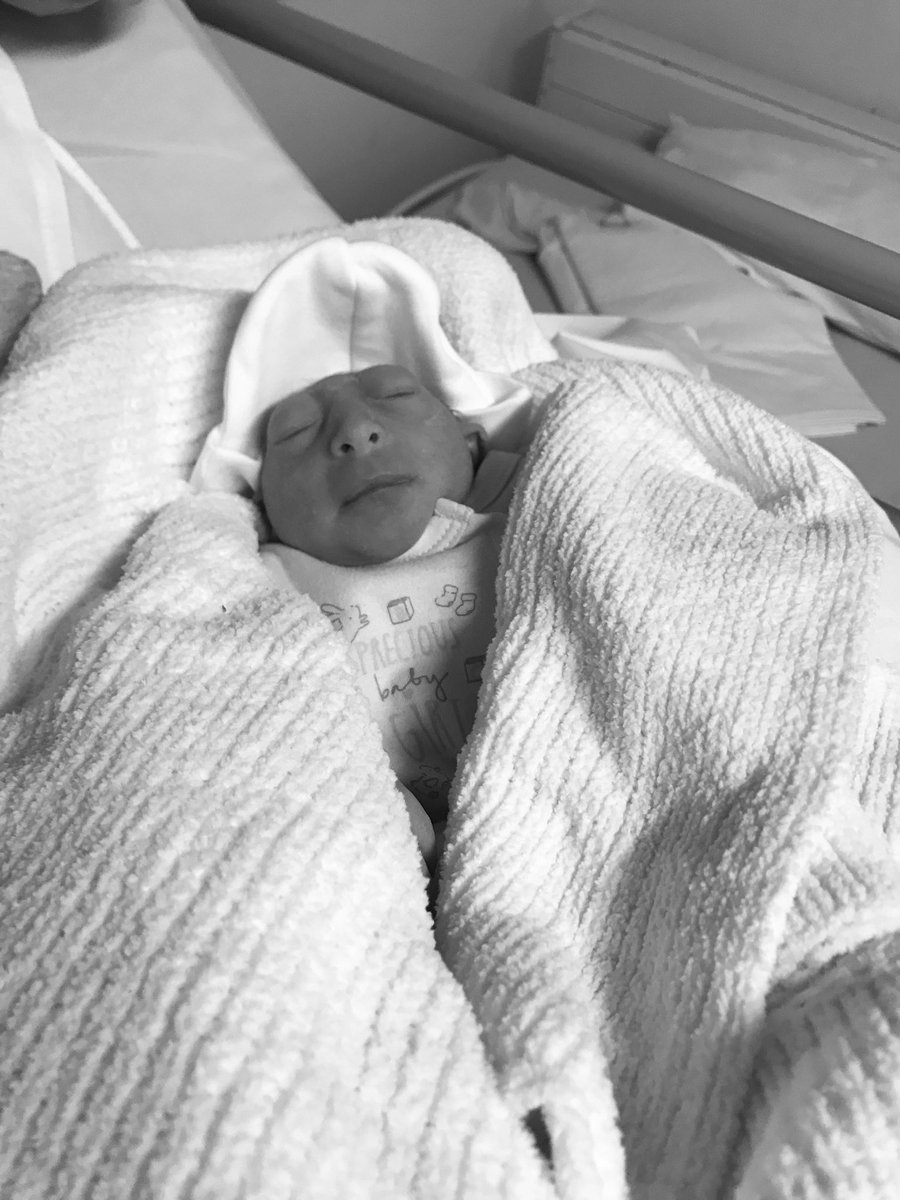 Ryan Stokes tweet media