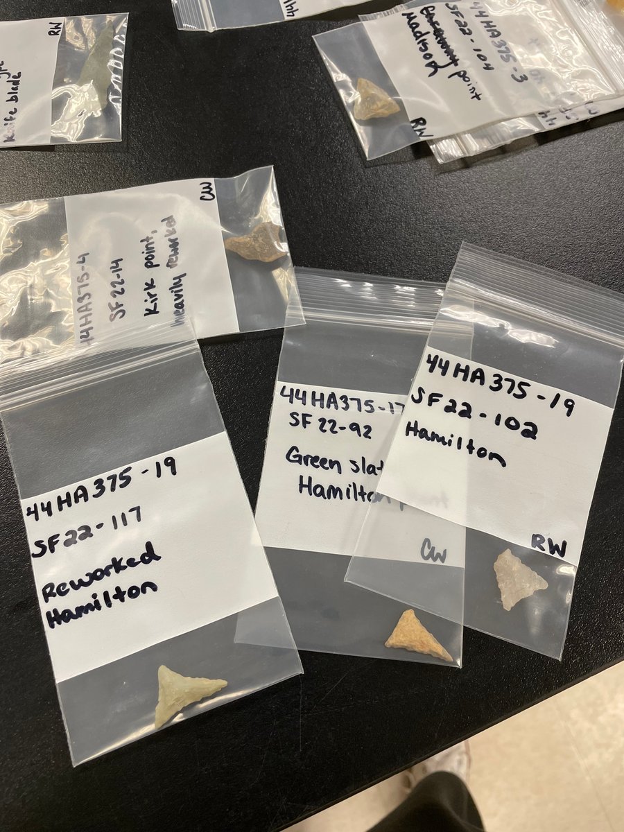 LU_Research's tweet photo. Patrick Berry is a junior at Longwood. His archaeology research focused on analyzing artifacts found at the Sander’s site as part of Longwood’s Institute of Archaeology. Check out https://t.co/q2y9Un2H33 to learn more about Patrick’s project. https://t.co/XziDvca6A3