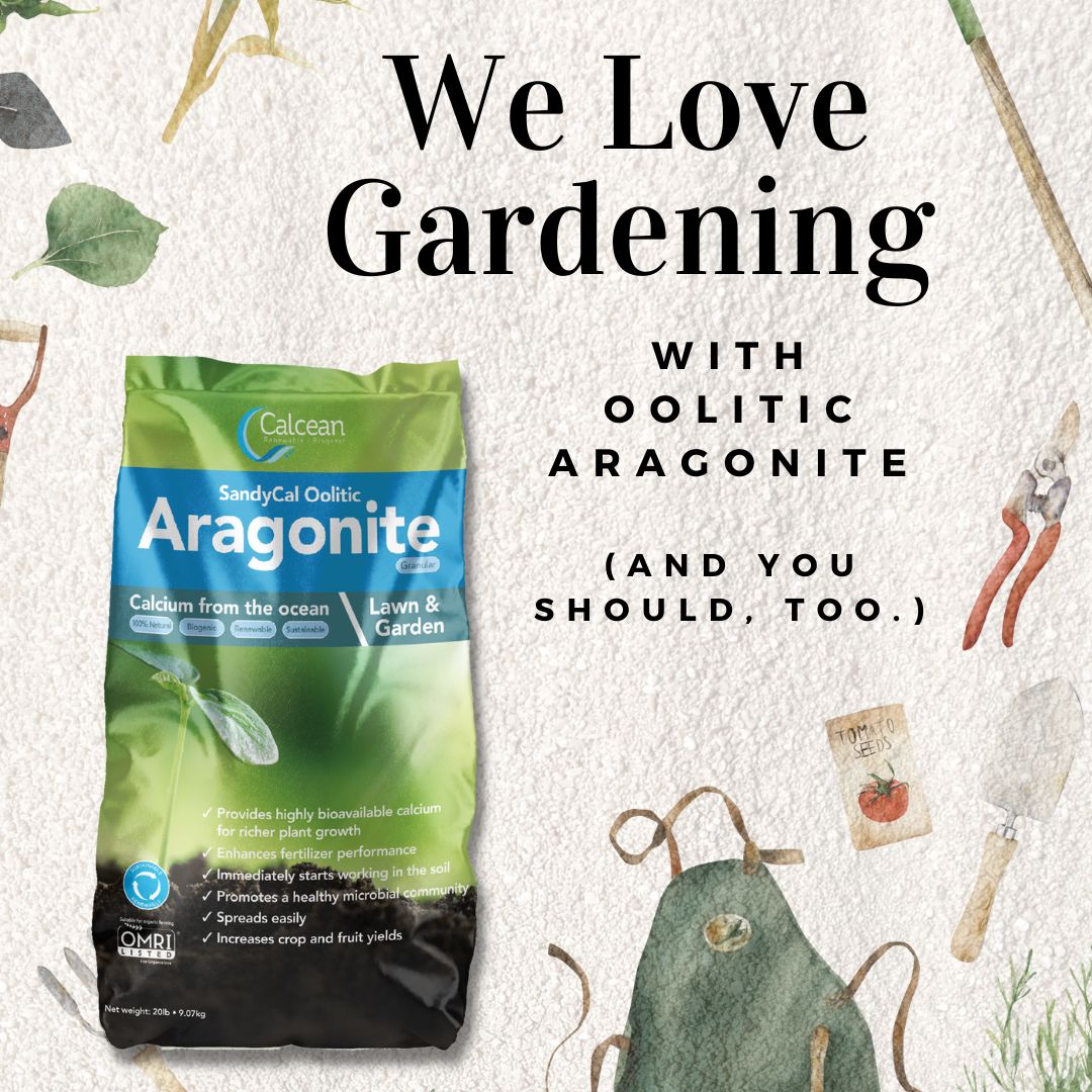 calcean's tweet photo. Let's get ready to GARDEN!๐ท
We know you're feeling excited about the warm weather, because so are we.โ
Don't start without oolitic aragonite...shop ONLINE (find links in our bio!)
BEAT THE RUSH and order today!โ
#renewable #sustainable #calcean #gardening #spring #calcium https://t.co/8KHbH8MrWG