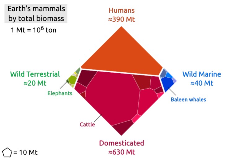 Authors estimate the total biomass of all terrestrial wild mammals at 20 million metric tons. Large herbivores comprise the bulk of the mass. Wild marine mammals weigh in at approximately 40 million metric tons. In PNAS: ow.ly/uokK50N4A3I