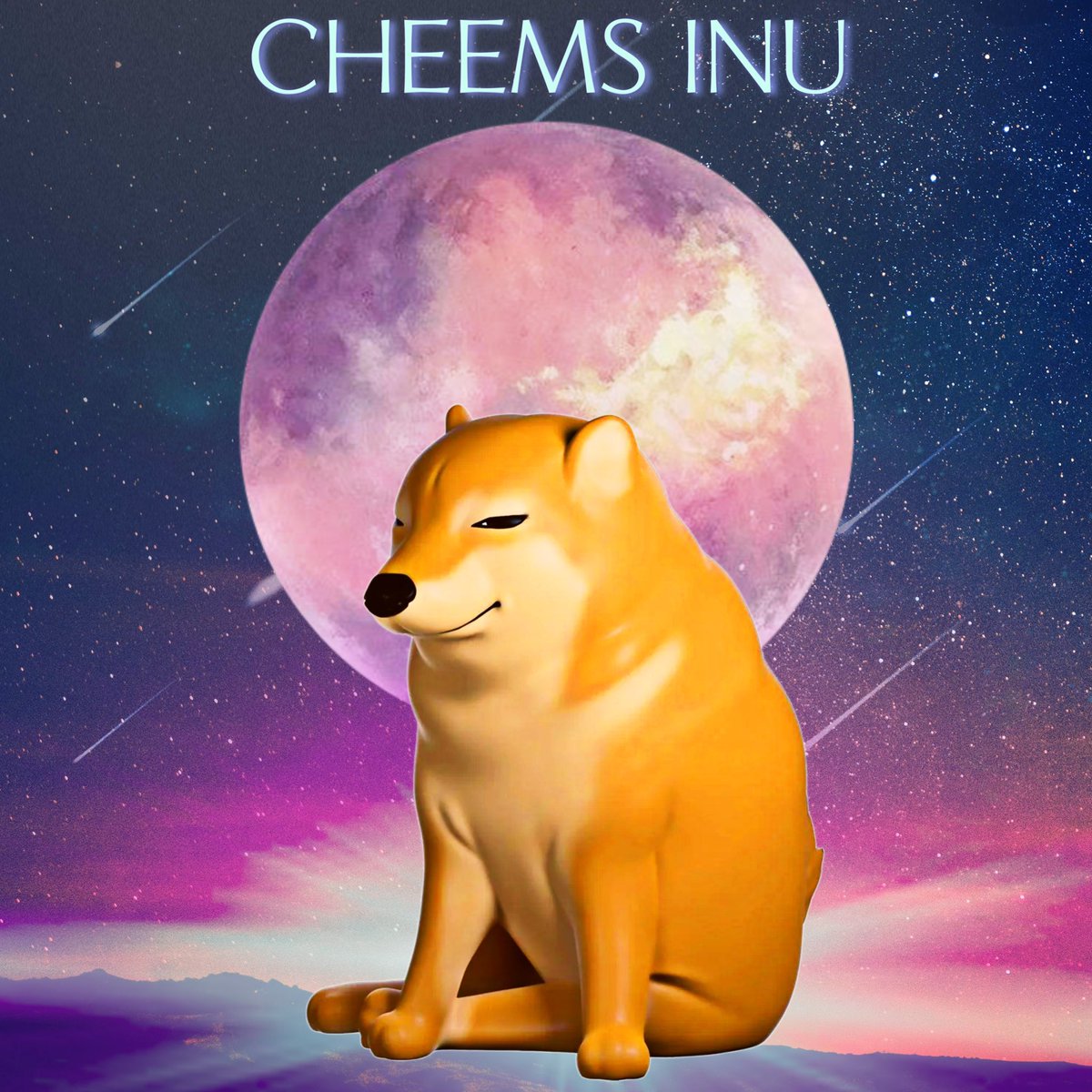 De_Daeme's tweet image. #CheemsInu will go to fu moon👉💯 

Lfggggg #cheems  fam 🚀🚀🚀🚀

#CheemsETH #CheemsBSC #CheemsAVAX