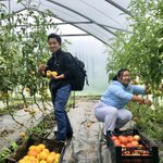 Photo by Guelph Centre for Urban Organic Farming (@gcuof)