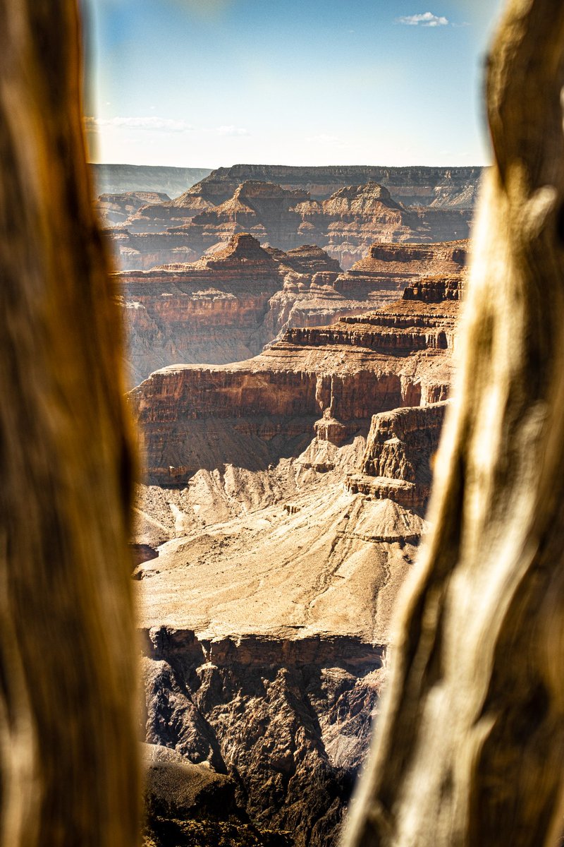 Yukon Cornelius.👑🏔💙 (@lawnchair_pilot) on Twitter photo 