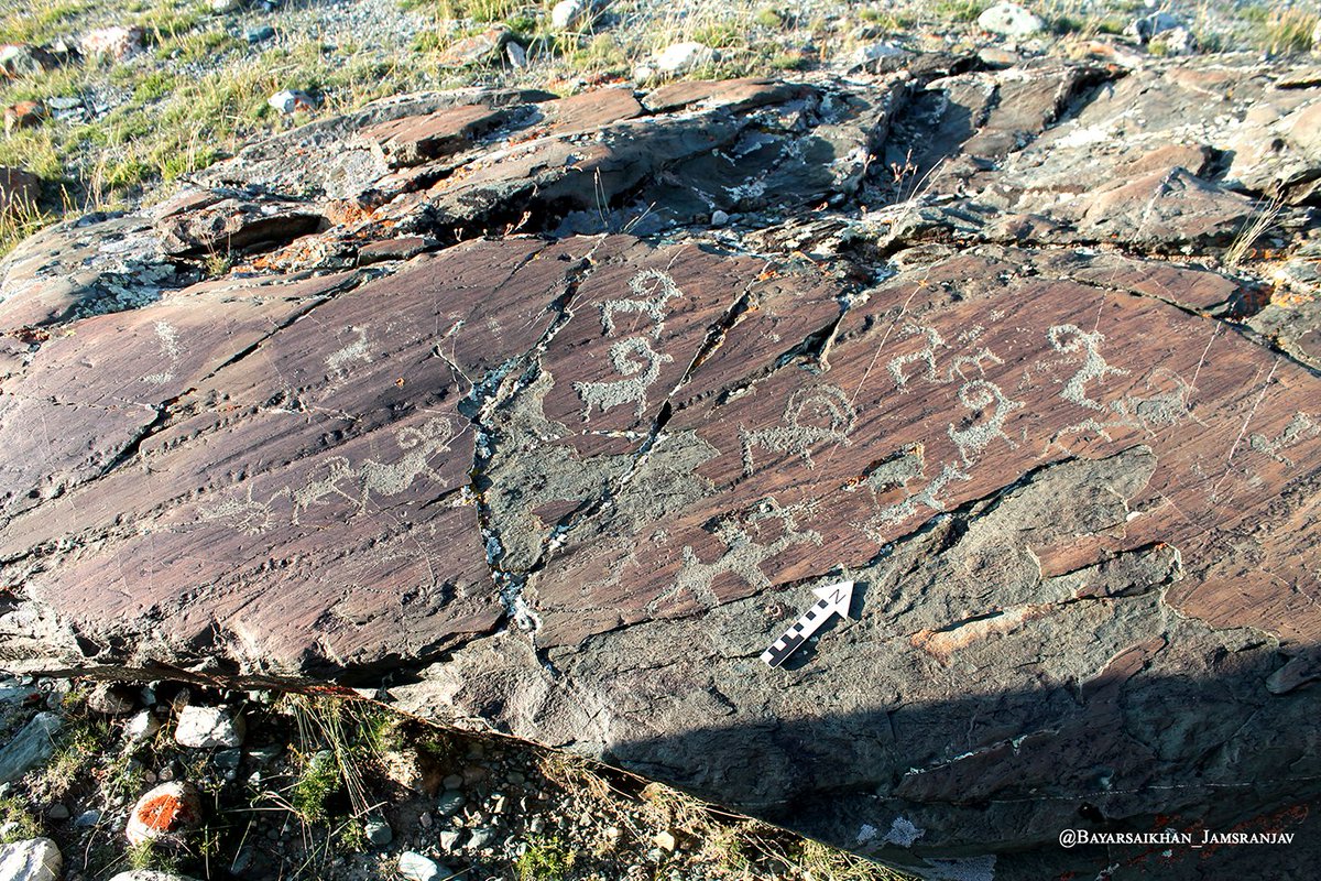 MAPSS (@mapss_project) on Twitter photo A flock of argali (Ovis ammon linnaeus). Bronze Age Rock Art in Mongolian Altai <a href="/MPI_GEA/">MPI-GEA Jena</a> <a href="/ArcadiaFund/">Arcadia Fund</a> A flock of argali (Ovis ammon linnaeus). Bronze Age Rock Art in Mongolian Altai <a href="/MPI_GEA/">MPI-GEA Jena</a> <a href="/ArcadiaFund/">Arcadia Fund</a>