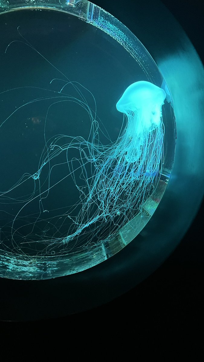 ℬ𝓇𝒶𝓃𝒹𝓎 𝒥ℴ𝓃ℯ𝓈 tweet media