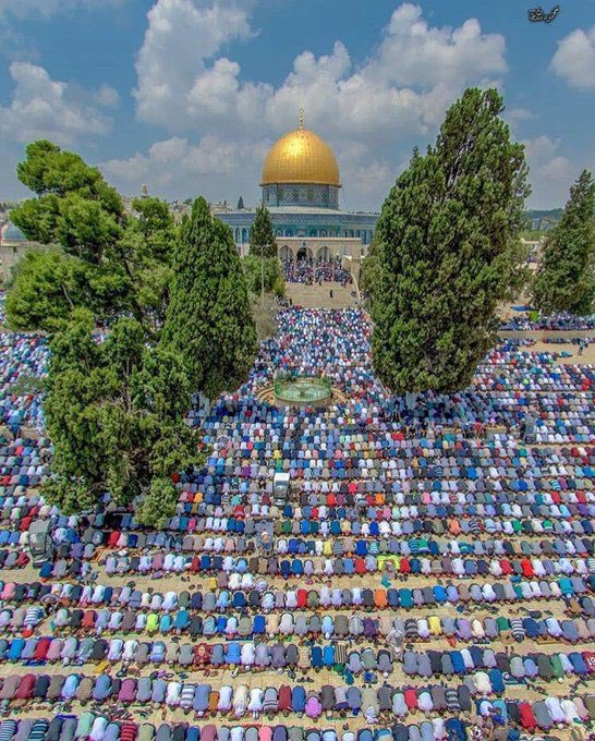 Prayer in Jerusalem, Palestine