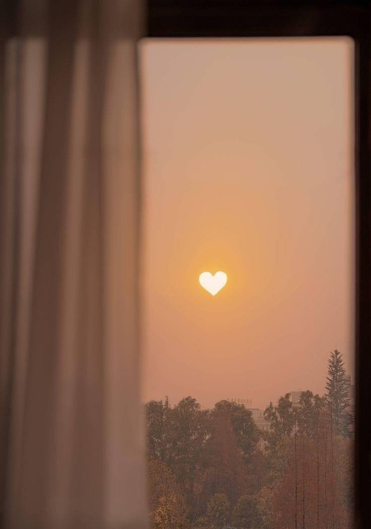 ويمحو الله أشخاص من حياتك
 رحمة بك، فلا تبحث عنهم.