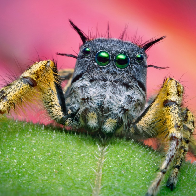 Sciencentric tweet media