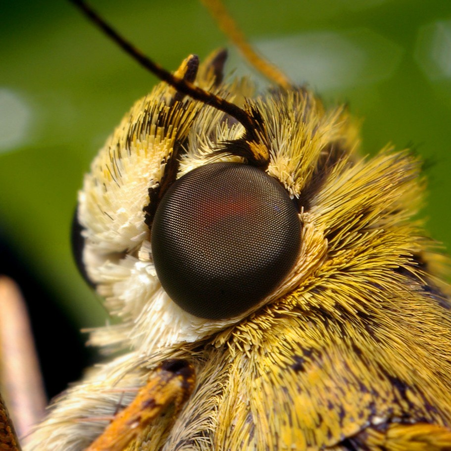 Sciencentric tweet media