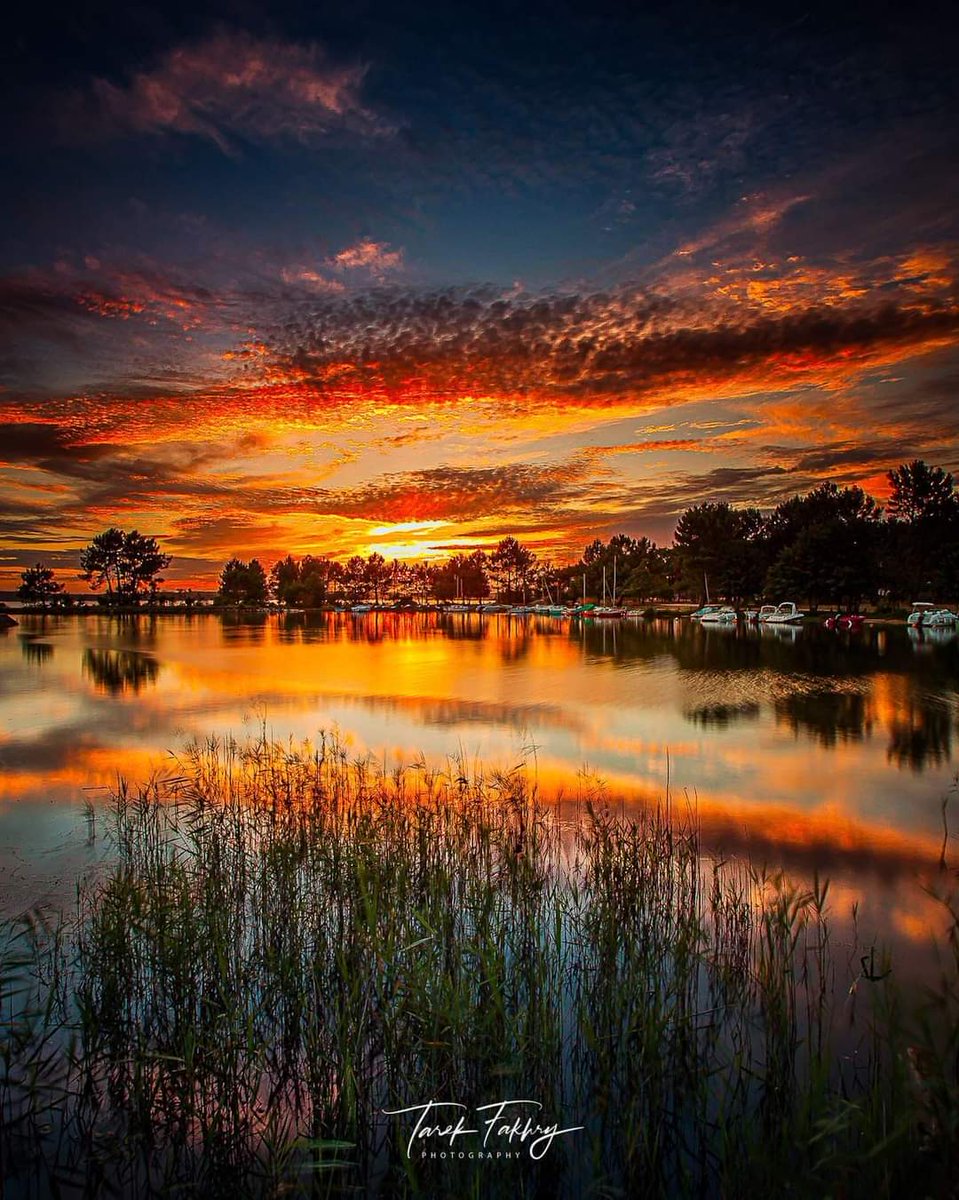 AkramKh30822324's tweet image. Happy day tweeter friends with the beautiful view from Gironde, Aquitaine,France